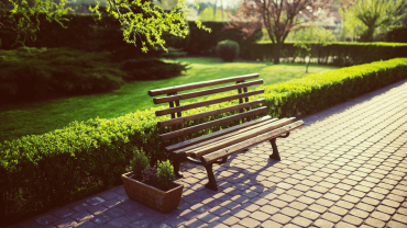 حدائق خضراء