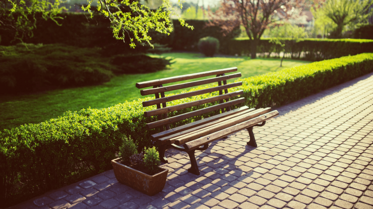 حدائق خضراء